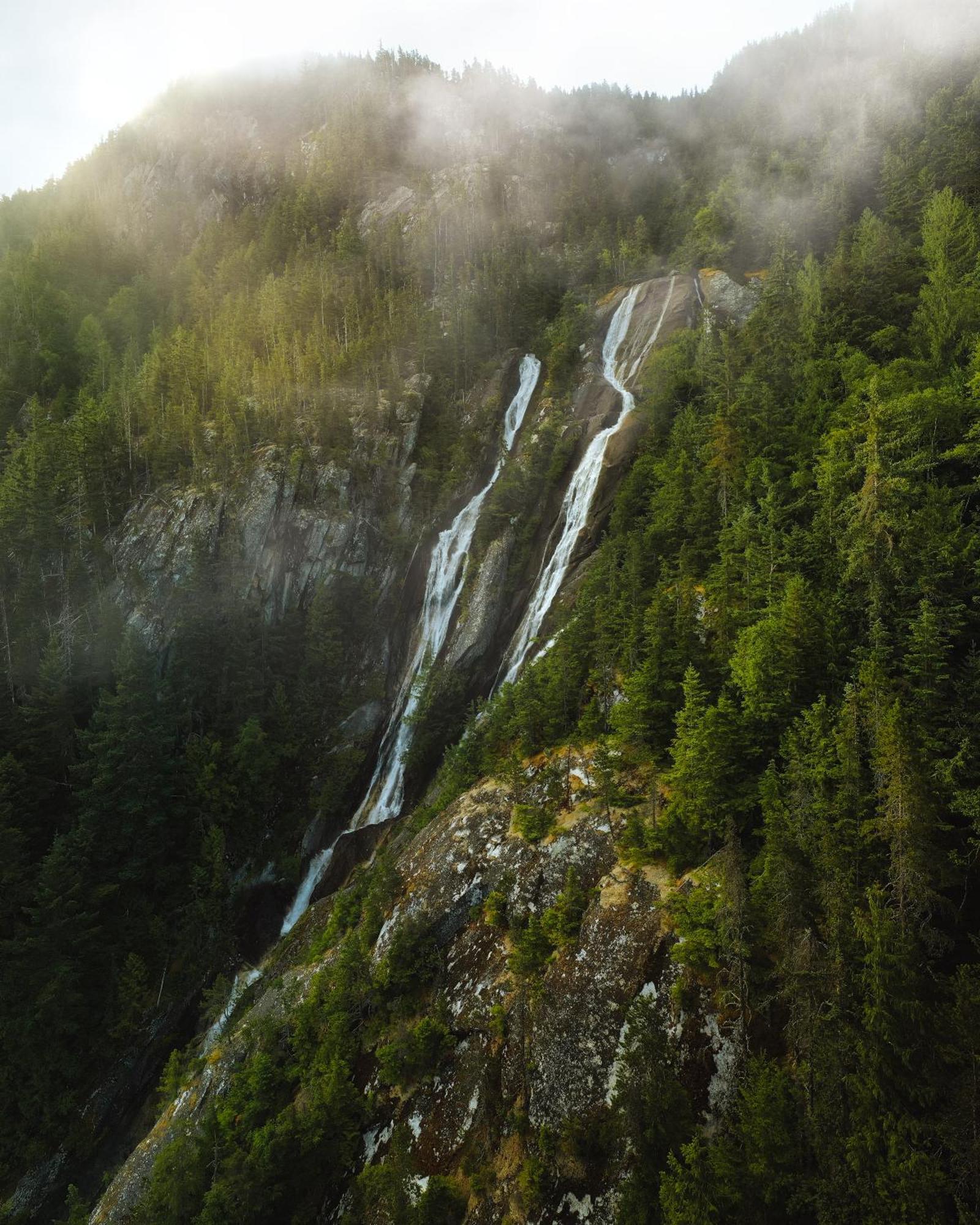 Bella Coola Grizzly Tours And Resort Hagensborg Eksteriør bilde