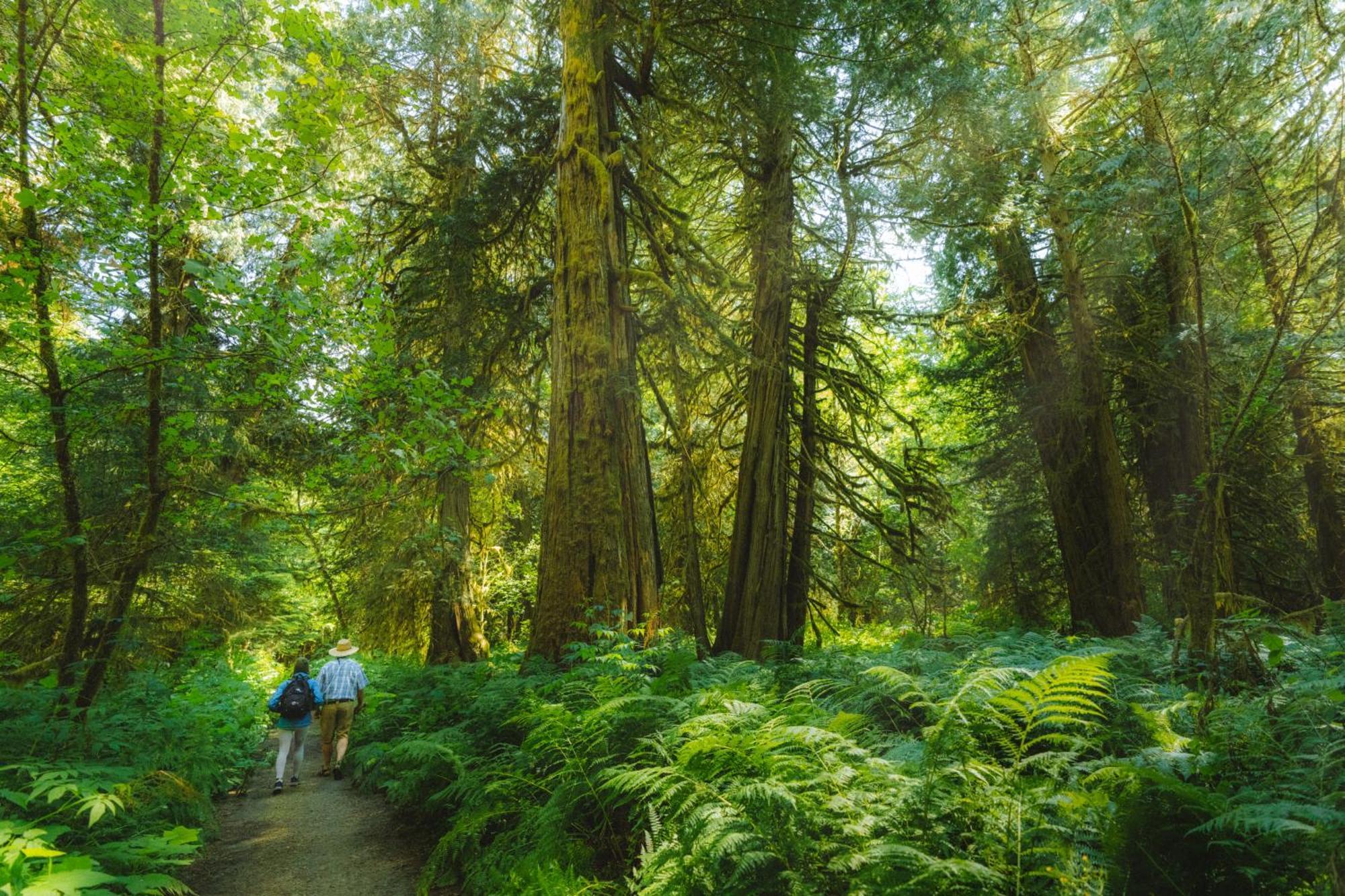 Bella Coola Grizzly Tours And Resort Hagensborg Eksteriør bilde